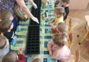 dzieci sadzą nasiona